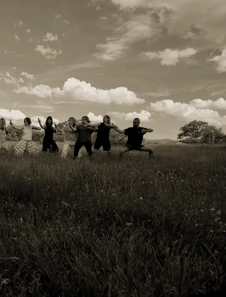 Grupo practicando Qi Gong en un prado