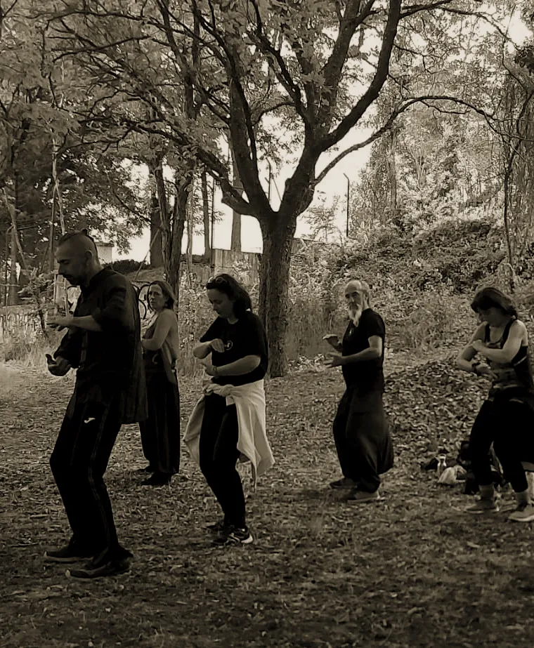 Práctica de Tai Chi entre los árboles